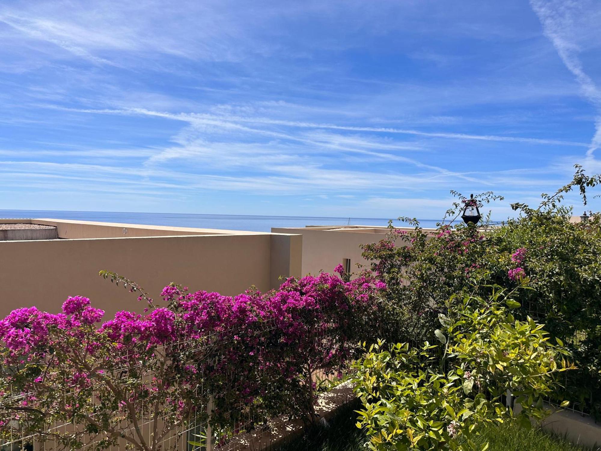 Coast Sun Kissed Terrace 1-bedroom Leilighet